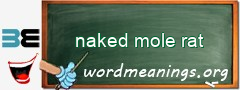 WordMeaning blackboard for naked mole rat